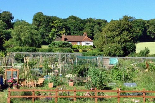 The Pyghtle allotments, Amersham