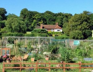 Allotments