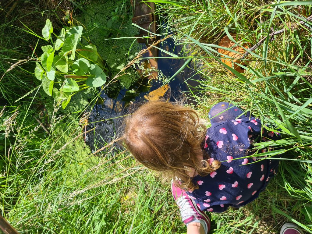 Woodside Community Allotment