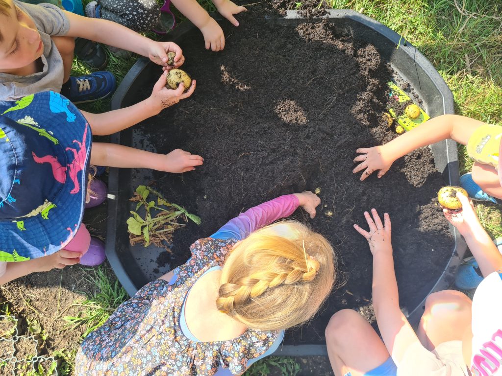 Woodside Community Allotment