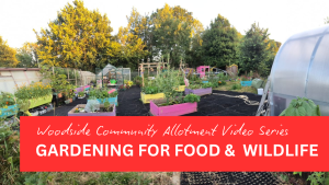 Gardening for Food and Wildlife